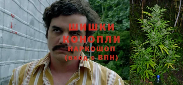гидропоника Аркадак